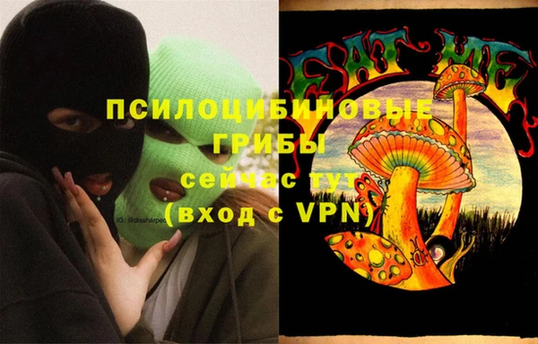spice Медвежьегорск