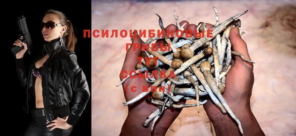 гидра Медногорск