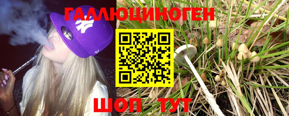 Невинномысск  Псилоцибиновые грибы Psilocybe  Вход с VPN 