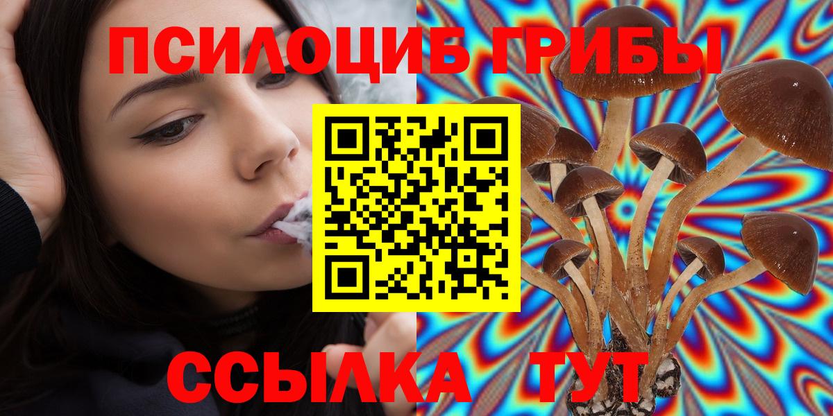 Псилоцибиновые грибы мицелий Невинномысск